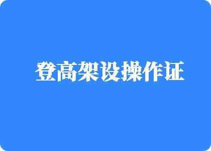 www.中国日逼登高架设操作证