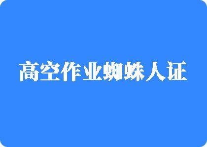 摸逼电影高空作业蜘蛛人证